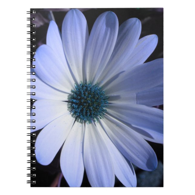 Blue Daisy Flower Notebook (Front)