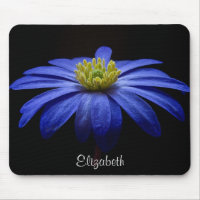 Blue Daisy Flower on Black Personalised