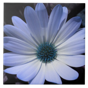 Blue Daisy Flower Tile
