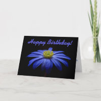 Blue Daisy Gerbera Flower Happy Birthday