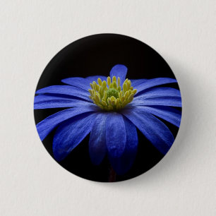 Blue Daisy Gerbera Flower on a Black background 6 Cm Round Badge
