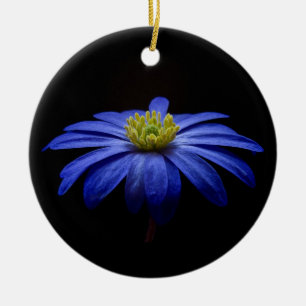 Blue Daisy Gerbera Flower on a Black background Ceramic Tree Decoration