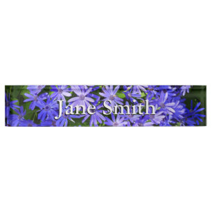 Blue Daisy-like Flowers Nameplate