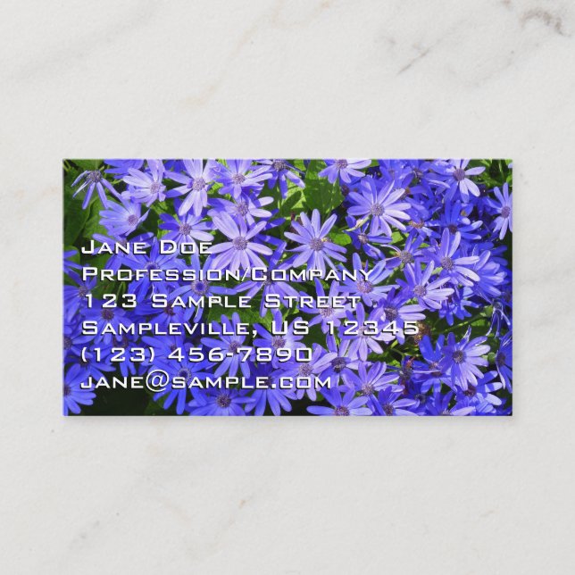 Blue Daisy-like Flowers Nature Photography Business Card (Front)