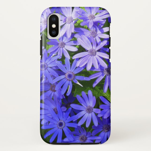 Blue Daisy-like Flowers Nature Photography Case-Mate iPhone Case (Back)