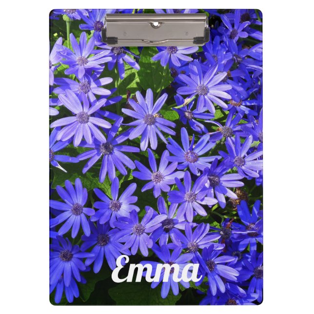 Blue Daisy-like Flowers Nature Photography Clipboard (Front)
