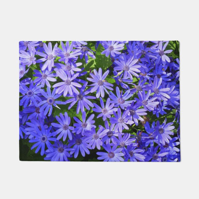 Blue Daisy-like Flowers Nature Photography Doormat (Front)