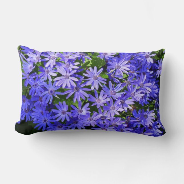 Blue Daisy-like Flowers Nature Photography Lumbar Cushion (Front)