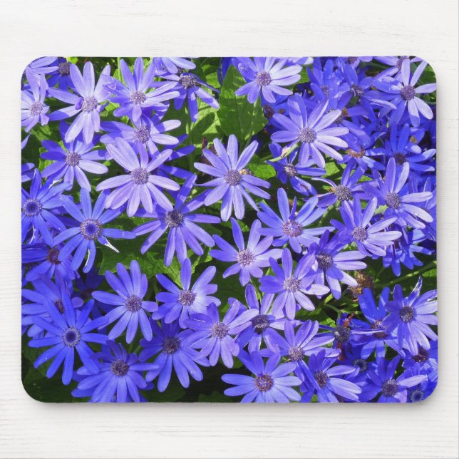 Blue Daisy-like Flowers Nature Photography Mouse Mat (Front)