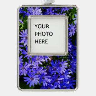 Blue Daisy-like Flowers Nature Photography Silver Plated Framed Ornament