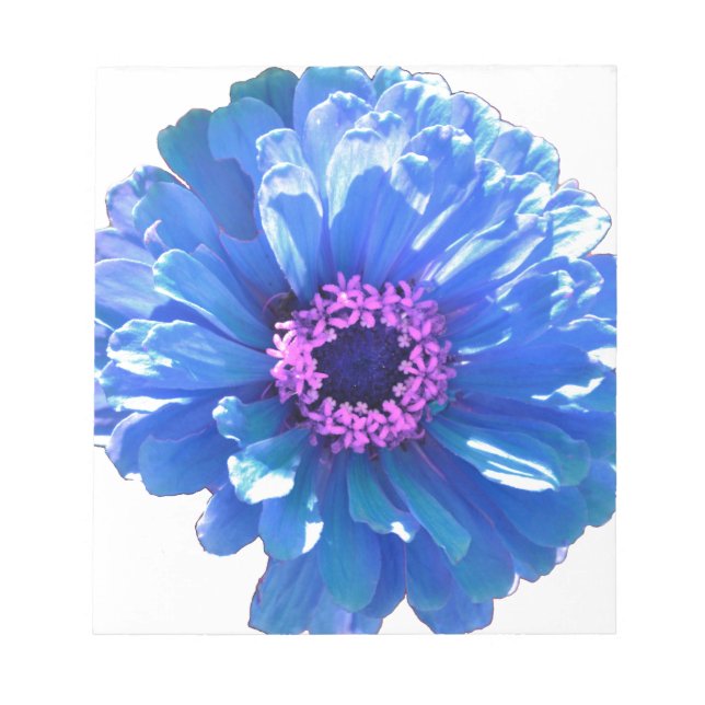 Blue Daisy Notepad (Front)
