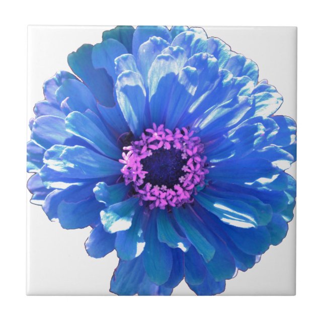 Blue Daisy Tile (Front)