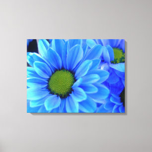 Blue Daisy Wrapped Canvas