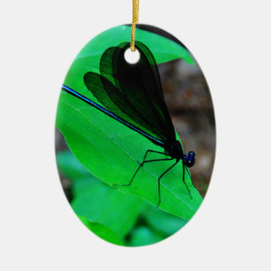 Blue Damselfly on a green leaf. Ceramic Tree Decoration
