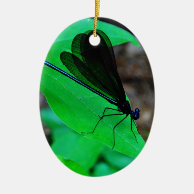 Blue Damselfly on a green leaf. Ceramic Tree Decoration (Front)