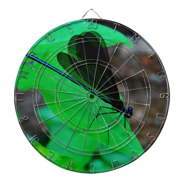 Blue Damselfly on a green leaf. Dartboard (Front)