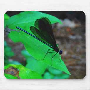 Blue Damselfly on a green leaf. Mouse Mat