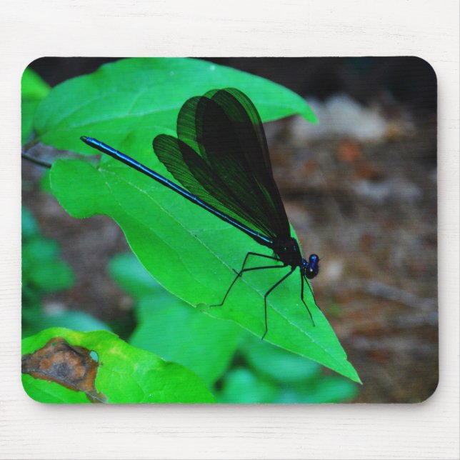 Blue Damselfly on a green leaf. Mouse Mat (Front)