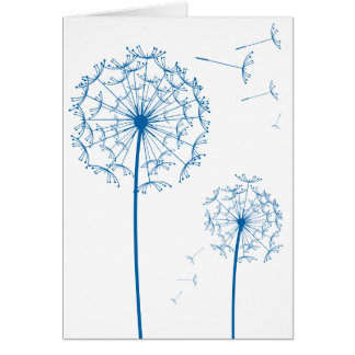 blue dandelion