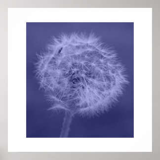 Blue Dandelion Poster/Print Poster