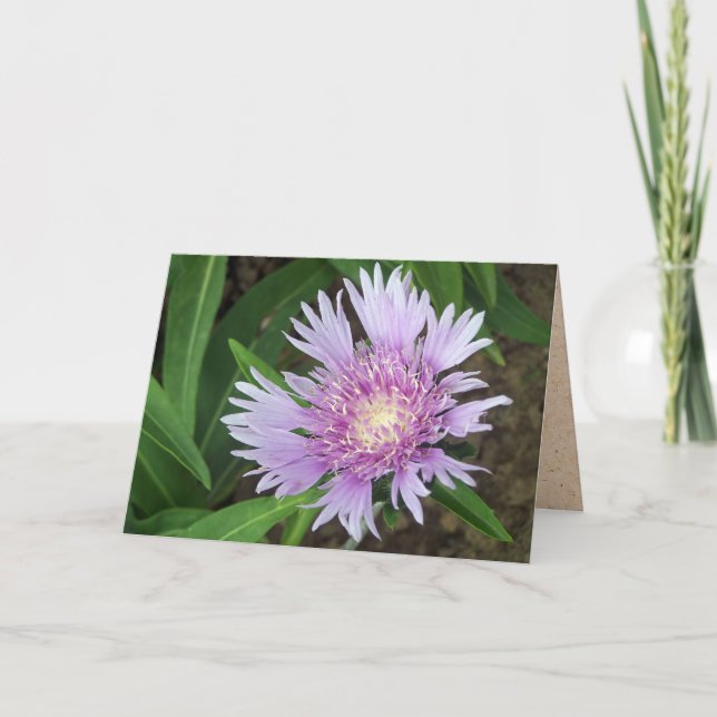 Blue Danube Stokes Aster Flower Card (Front)