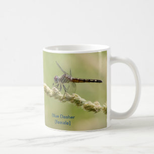 Blue Dasher Mug