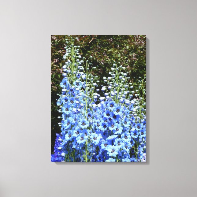 Blue Delphinium Floral Flowers Garden Nature Canvas Print (Front)
