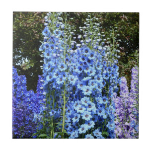 Blue Delphinium Floral Flowers Garden Nature Tile