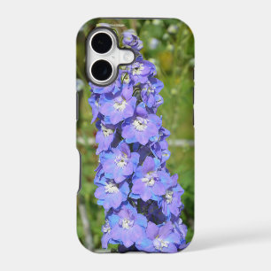 Blue delphinium flowers