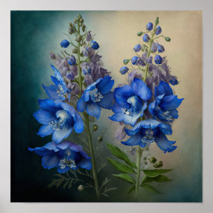 Blue Delphinium Flowers Art Print Poster
