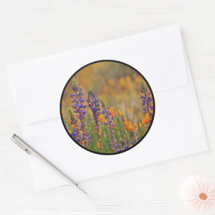 Blue Desert Lupines Orange Poppies envelope seals
