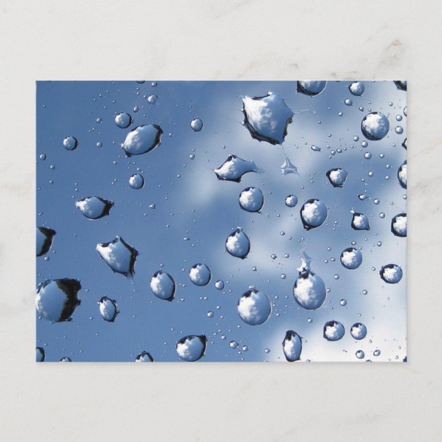 Blue Dew Drop Fibonacci Spiral Nature Postcard (Front)