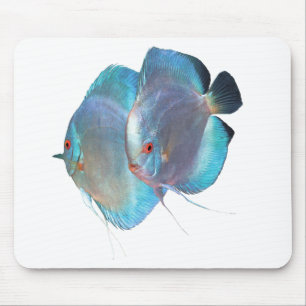 Blue Diamond Discus fish のマウスパッド,No.02 Mouse Mat