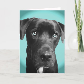 Blue dog card