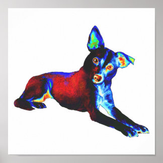Blue Dog Poster