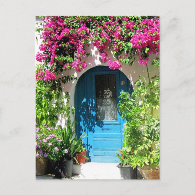 Blue door framed with beautiful bougainvillea postcard (Front)