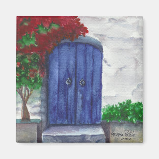 blue door Magnet