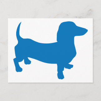 Blue Doxie, Dachshund Postcard