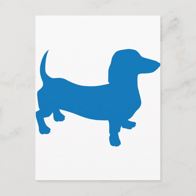 Blue Doxie, Dachshund Postcard (Front)