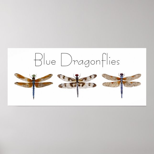 Blue Dragonflies Poster (Front)