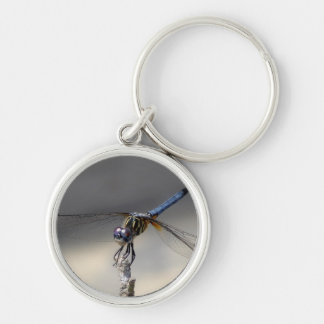 blue dragonfly-001 kc key ring