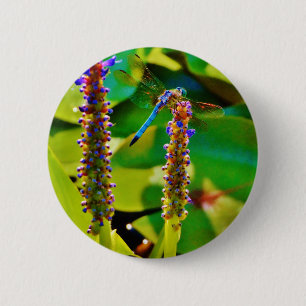 Blue Dragonfly and flowers 6 Cm Round Badge
