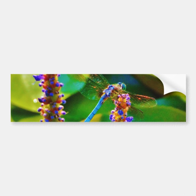Blue Dragonfly and flowers Bumper Sticker (Front)