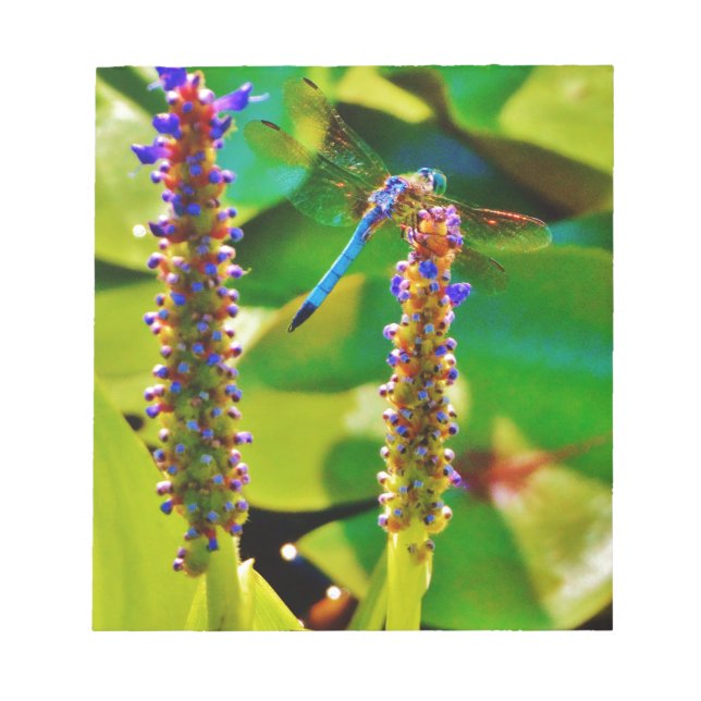 Blue Dragonfly and flowers Notepad (Front)