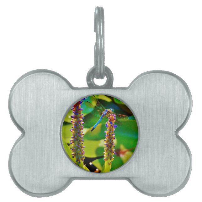 Blue Dragonfly and flowers Pet ID Tag (Front)