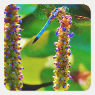 Blue Dragonfly and flowers Square Sticker