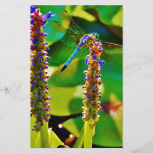 Blue Dragonfly and flowers Stationery