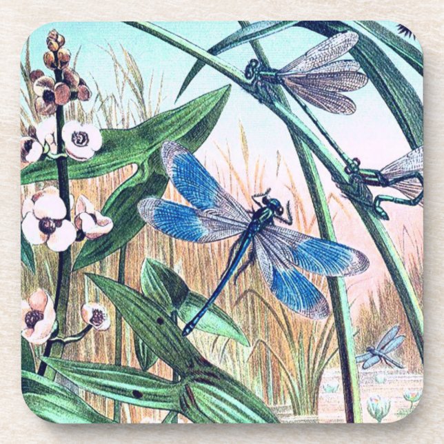 Blue Dragonfly at the pond vintage illustration  Coaster (Front)