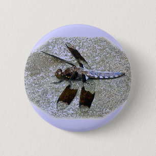 Blue Dragonfly Badge