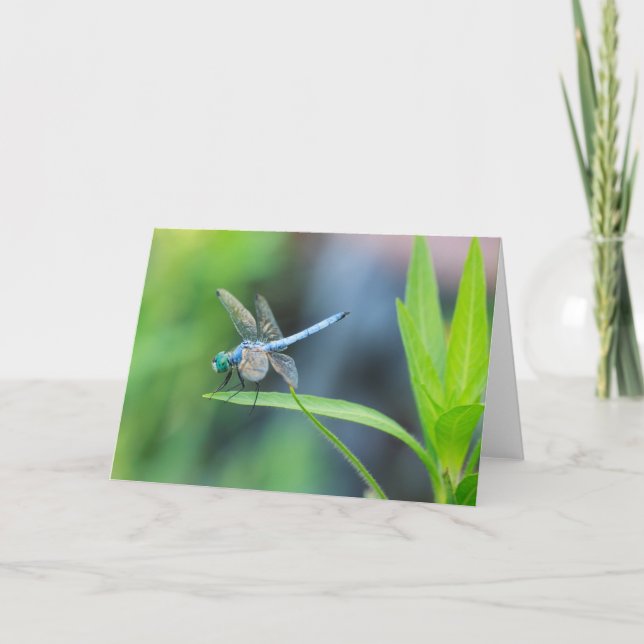 Blue Dragonfly Blank Greeting Card (Front)